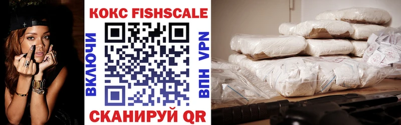 Cocaine FishScale  продажа наркотиков  Верхняя Тура 