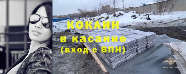 молекула духа Богородицк